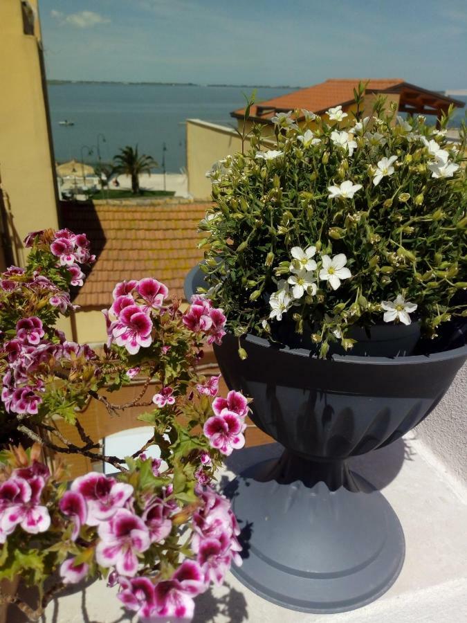 B&B La Felicita Лезина Екстериор снимка